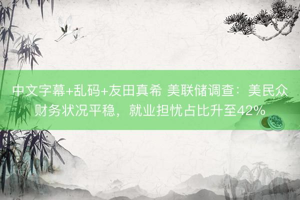 中文字幕+乱码+友田真希 美联储调查:美民众财务状况平稳,就业担忧占比升至42%