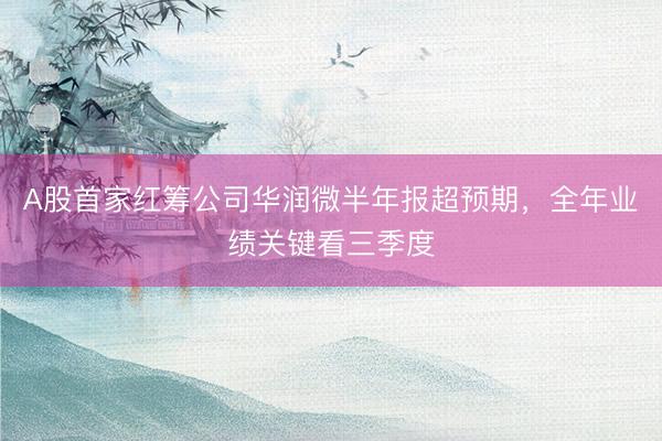 A股首家红筹公司华润微半年报超预期，全年业绩关键看三季度