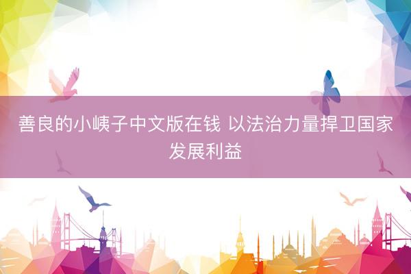 善良的小峓子中文版在钱 以法治力量捍卫国家发展利益