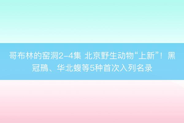 哥布林的窑洞2-4集 北京野生动物“上新”!黑冠鳽、华北蝮等5种首次入列名录