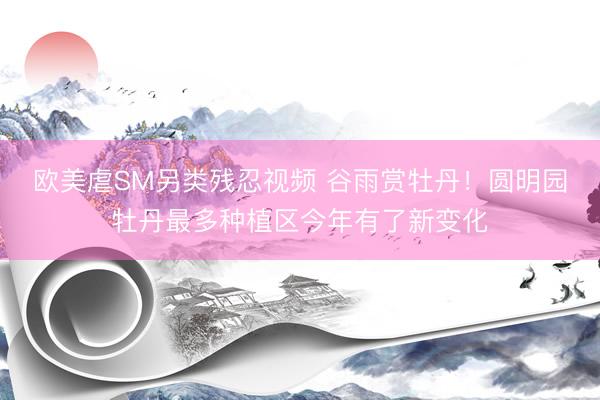 欧美虐SM另类残忍视频 谷雨赏牡丹！圆明园牡丹最多种植区今年有了新变化
