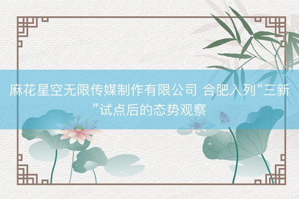 麻花星空无限传媒制作有限公司 合肥入列“三新”试点后的态势观察