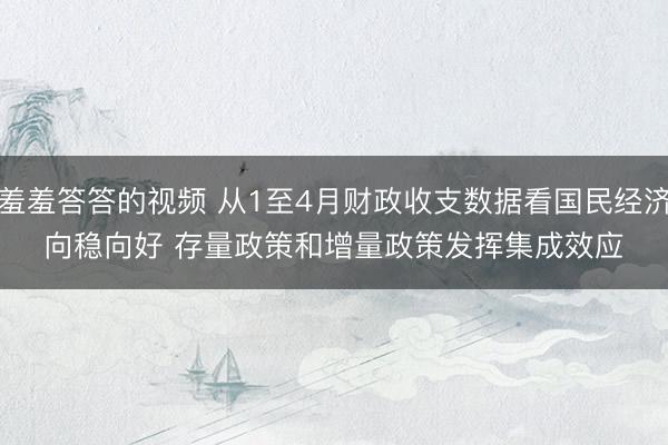 羞羞答答的视频 从1至4月财政收支数据看国民经济向稳向好 存量政策和增量政策发挥集成效应