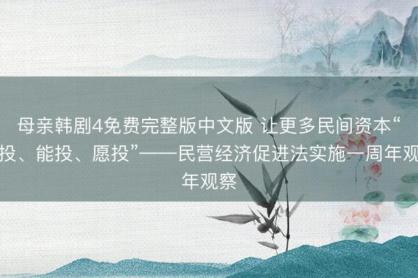 母亲韩剧4免费完整版中文版 让更多民间资本“敢投、能投、愿投”——民营经济促进法实施一周年观察