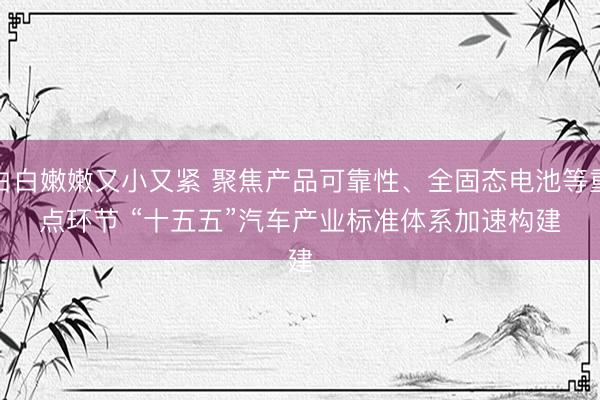 白白嫩嫩又小又紧 聚焦产品可靠性、全固态电池等重点环节 “十五五”汽车产业标准体系加速构建