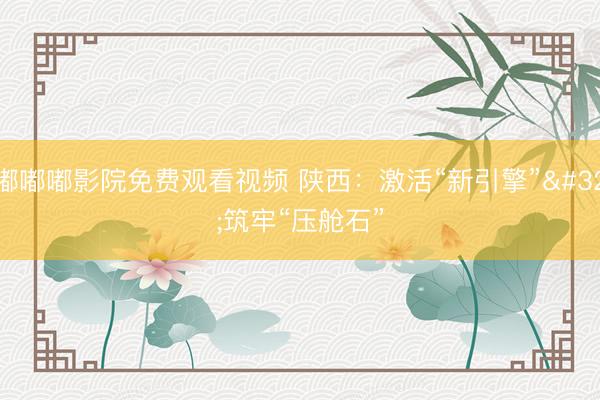 嘟嘟嘟影院免费观看视频 陕西：激活“新引擎” 筑牢“压舱石”