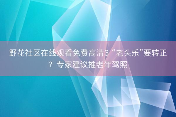 野花社区在线观看免费高清3 “老头乐”要转正?专家建议推老年驾照