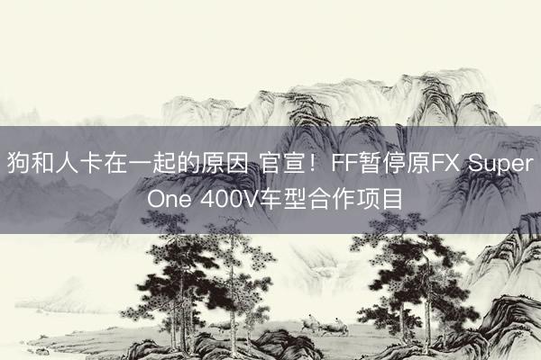 狗和人卡在一起的原因 官宣！FF暂停原FX Super One 400V车型合作项目