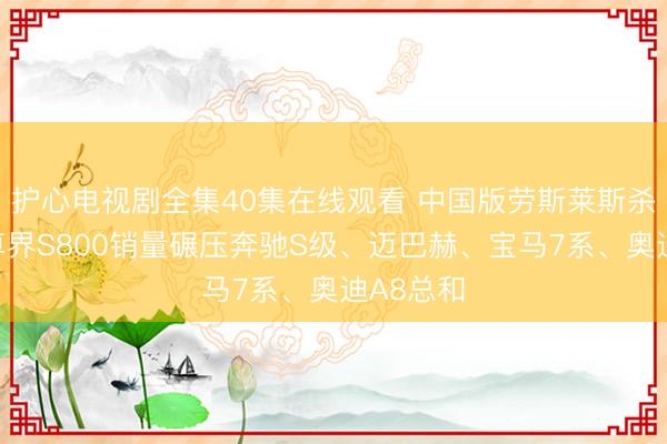 护心电视剧全集40集在线观看 中国版劳斯莱斯杀疯了!尊界S800销量碾压奔驰S级、迈巴赫、宝马7系、奥迪A8总和