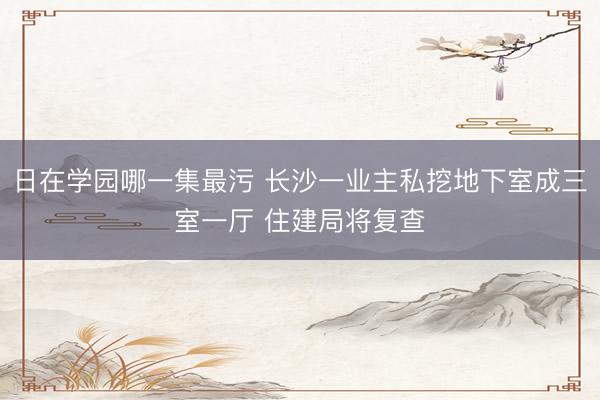 日在学园哪一集最污 长沙一业主私挖地下室成三室一厅 住建局将复查
