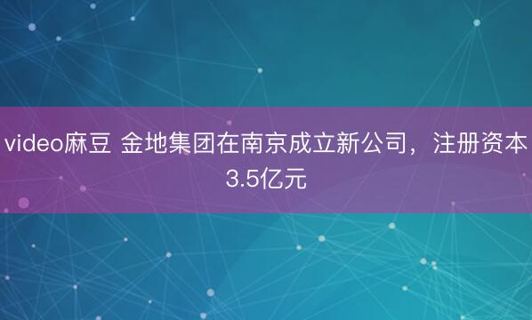 video麻豆 金地集团在南京成立新公司，注册资本3.5亿元
