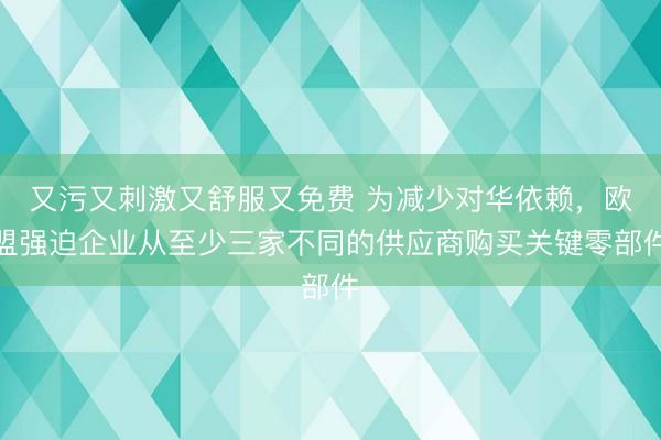 又污又刺激又舒服又免费 为减少对华依赖，欧盟强迫企业从至少三家不同的供应商购买关键零部件