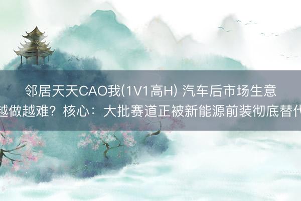 邻居天天CAO我(1V1高H) 汽车后市场生意越做越难？核心：大批赛道正被新能源前装彻底替代