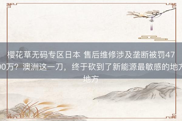 樱花草无码专区日本 售后维修涉及垄断被罚4700万？澳洲这一刀，终于砍到了新能源最敏感的地方