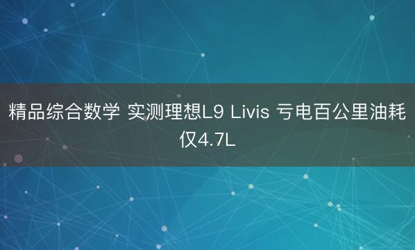 精品综合数学 实测理想L9 Livis 亏电百公里油耗仅4.7L