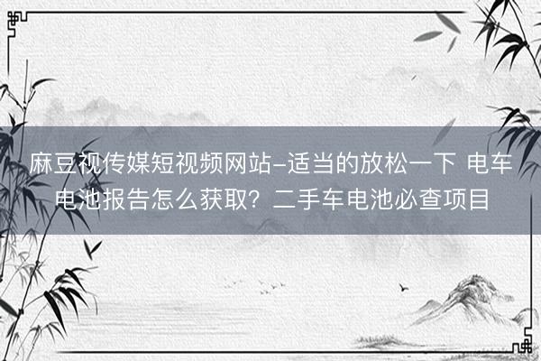 麻豆视传媒短视频网站-适当的放松一下 电车电池报告怎么获取？二手车电池必查项目