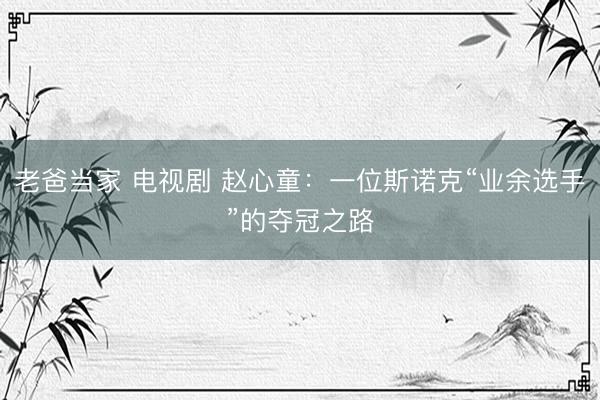 老爸当家 电视剧 赵心童：一位斯诺克“业余选手”的夺冠之路