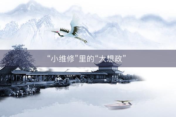“小维修”里的“大想政”