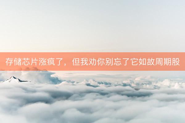 存储芯片涨疯了,但我劝你别忘了它如故周期股