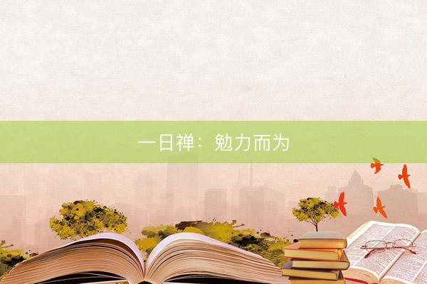 一日禅:勉力而为