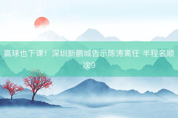 赢球也下课！深圳新鹏城告示陈涛离任 半程名顺次9