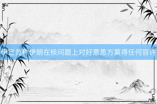 伊官员称伊朗在核问题上对好意思方莫得任何容许