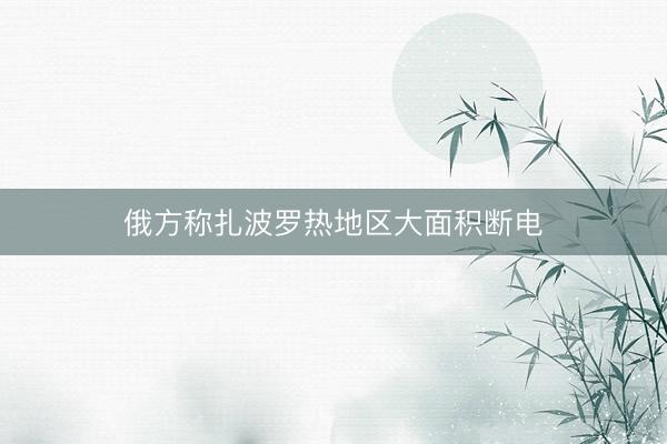 俄方称扎波罗热地区大面积断电
