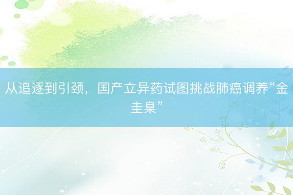 从追逐到引颈，国产立异药试图挑战肺癌调养“金圭臬”
