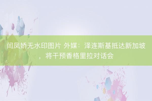 闫凤娇无水印图片 外媒：泽连斯基抵达新加坡，将干预香格里拉对话会