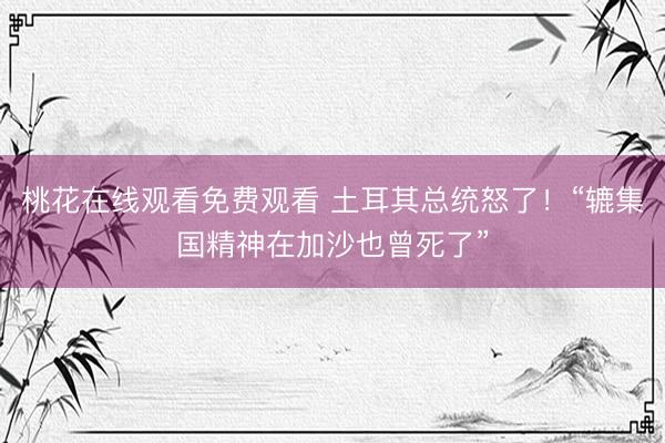 桃花在线观看免费观看 土耳其总统怒了！“辘集国精神在加沙也曾死了”