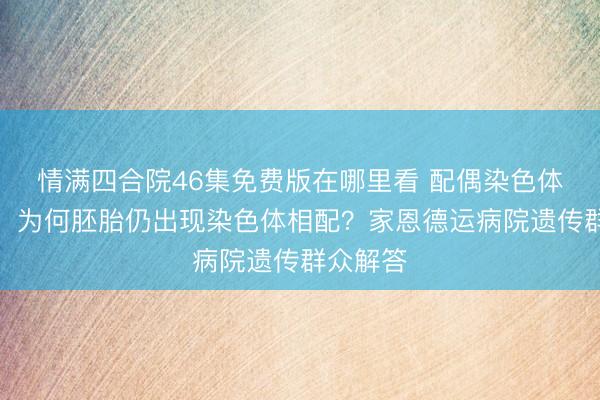 情满四合院46集免费版在哪里看 配偶染色体均正常，为何胚胎仍出现染色体相配？家恩德运病院遗传群众解答