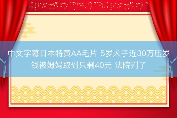 中文字幕日本特黄AA毛片 5岁犬子近30万压岁钱被姆妈取到只剩40元 法院判了