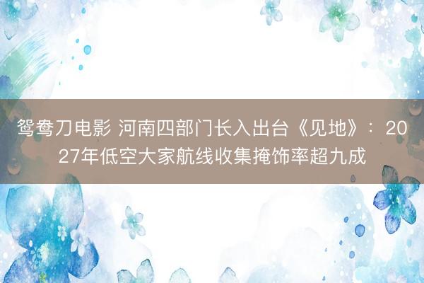 鸳鸯刀电影 河南四部门长入出台《见地》：2027年低空大家航线收集掩饰率超九成