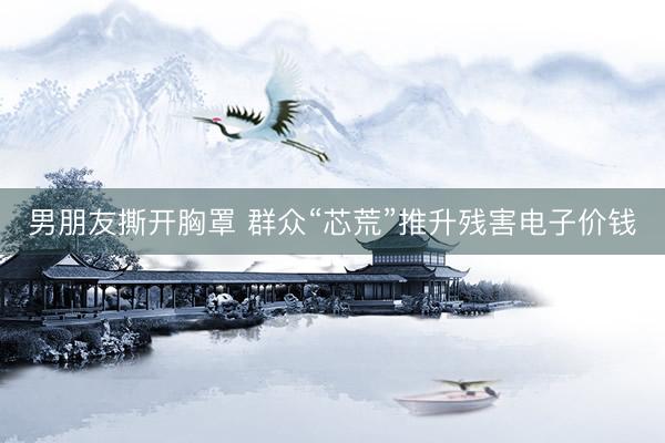 男朋友撕开胸罩 群众“芯荒”推升残害电子价钱