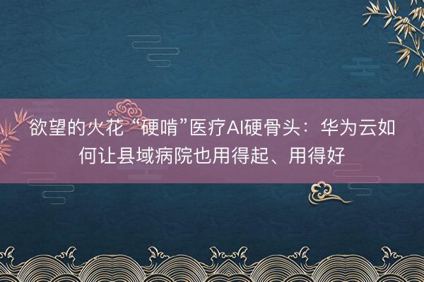 欲望的火花 “硬啃”医疗AI硬骨头：华为云如何让县域病院也用得起、用得好