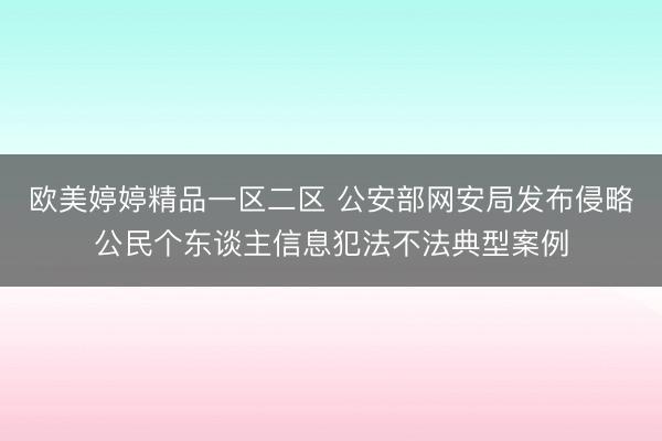 欧美婷婷精品一区二区 公安部网安局发布侵略公民个东谈主信息犯法不法典型案例