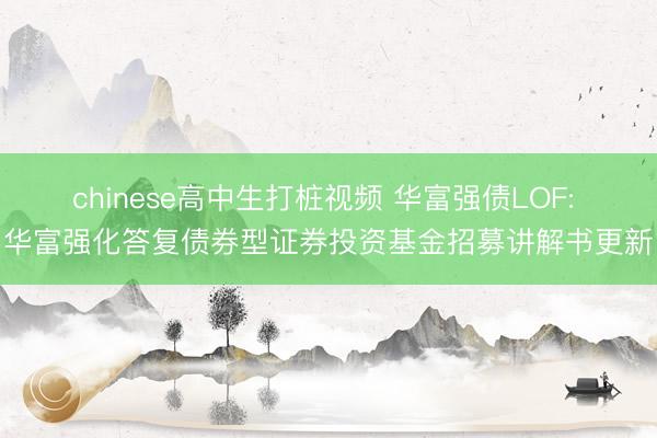 chinese高中生打桩视频 华富强债LOF: 华富强化答复债券型证券投资基金招募讲解书更新