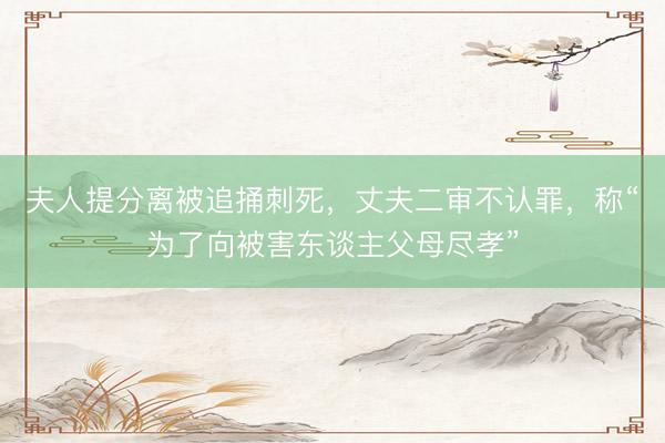 夫人提分离被追捅刺死，丈夫二审不认罪，称“为了向被害东谈主父母尽孝”