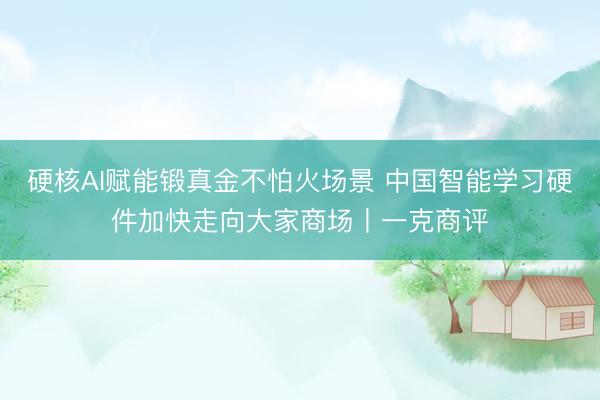 硬核AI赋能锻真金不怕火场景 中国智能学习硬件加快走向大家商场丨一克商评