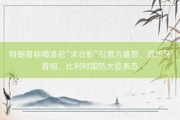 特朗普称梅洛尼“求合影”引意方盛怒,西班牙首相、比利时国防大臣表态